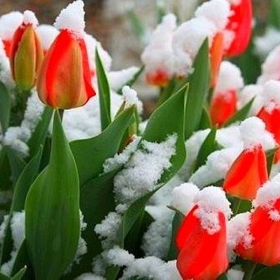 Анютка Луців, 21 декабря , Львов, id223903080