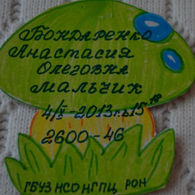 Анастасия Бондаренко, 7 мая 1989, Новосибирск, id6170763